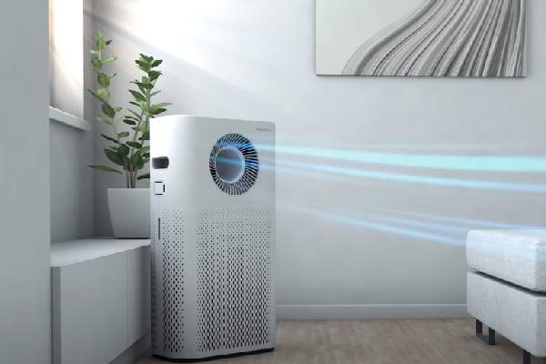 Best 9 Amazon SeedTime Home Deals