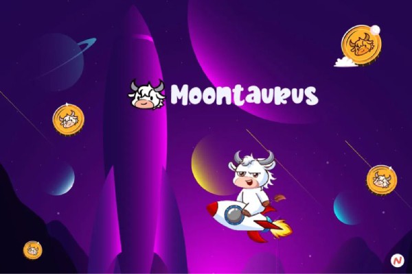 Crypto Firm MoonTaurus Raised 100K